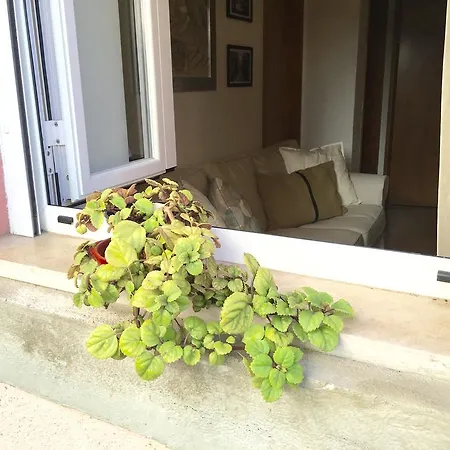 Apartment Saraiva